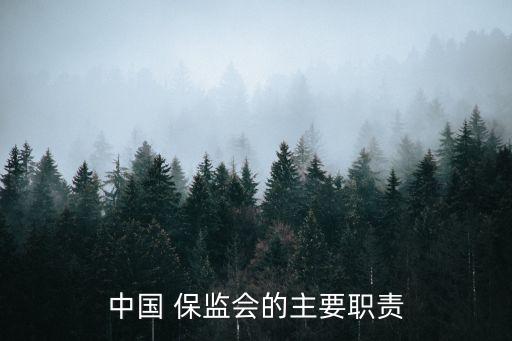 中國 保監(jiān)會的主要職責