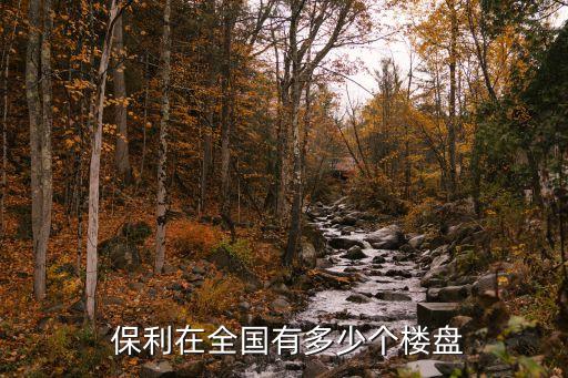 保利集團海外項目,石家莊保利集團開發(fā)的項目