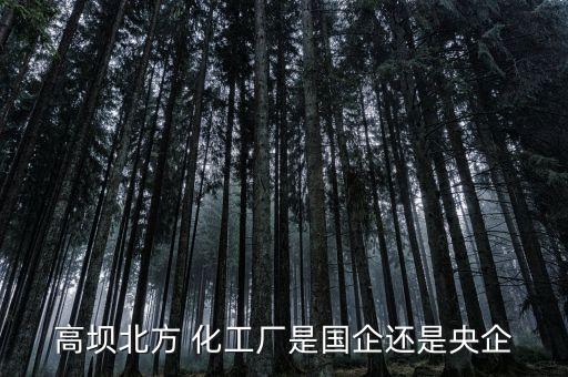 瀘州橫江化工有限公司,瀘州鑫?；び邢薰菊衅?/></a></span><span id=