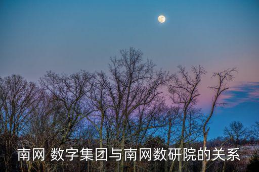 南網(wǎng) 數(shù)字集團與南網(wǎng)數(shù)研院的關系