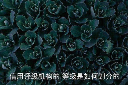  信用評級機構的 等級是如何劃分的