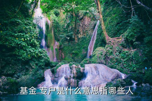 基金專戶結構化,基金結構化安排是什么意思