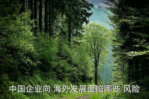 投資海外風險,海外產品投資面臨的風險包含