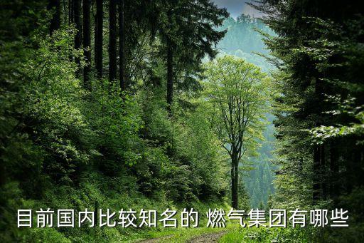 目前國內(nèi)比較知名的 燃氣集團有哪些