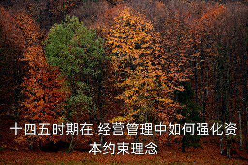 十四五時期在 經(jīng)營管理中如何強(qiáng)化資本約束理念
