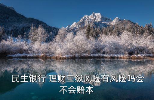  民生銀行 理財二級風險有風險嗎會不會賠本