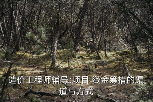 造價工程師輔導(dǎo):項目 資金籌措的渠道與方式