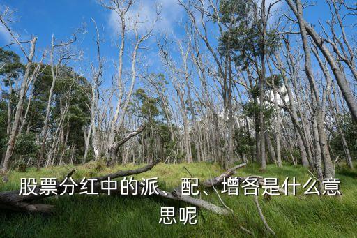  股票分紅中的派、配、增各是什么意思呢