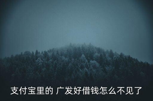 支付寶里的 廣發(fā)好借錢(qián)怎么不見(jiàn)了