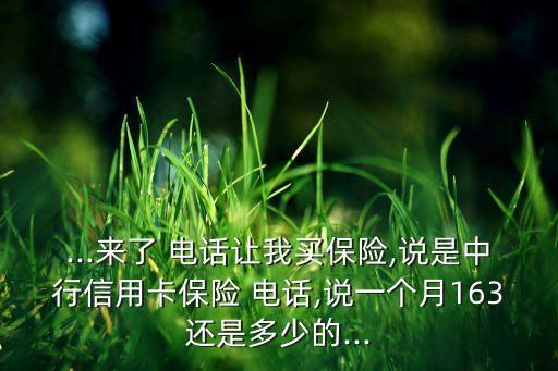 ...來了 電話讓我買保險(xiǎn),說是中行信用卡保險(xiǎn) 電話,說一個(gè)月163還是多少的...