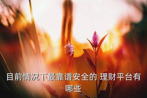 目前情況下最靠譜安全的 理財(cái)平臺有哪些