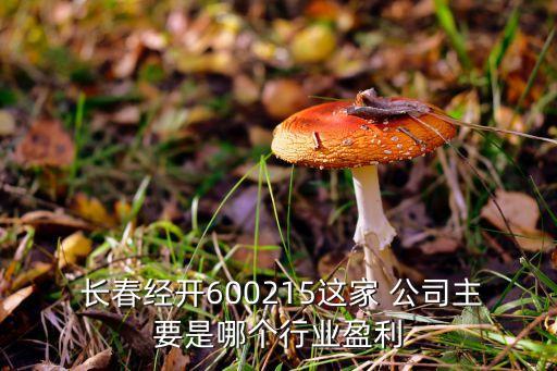 長春熱力公司轉(zhuǎn)讓,長春最差的熱力公司排名