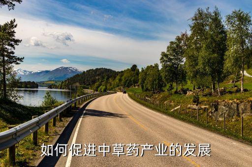 如何促進中草藥產業(yè)的發(fā)展