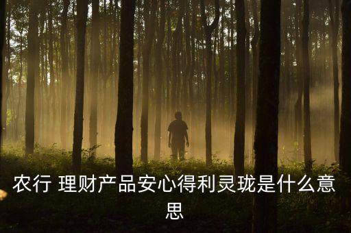 農(nóng)業(yè)銀行保本理財產(chǎn)品