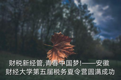 財(cái)稅新經(jīng)管,青春中國夢!——安徽 財(cái)經(jīng)大學(xué)第五屆稅務(wù)夏令營圓滿成功