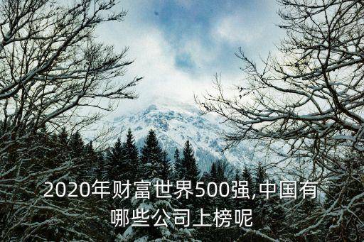 2020年財(cái)富世界500強(qiáng),中國有哪些公司上榜呢