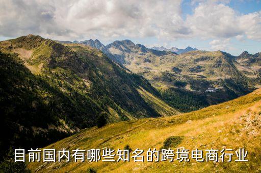 目前國內(nèi)有哪些知名的跨境電商行業(yè)