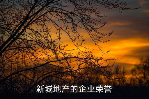 新城地產的企業(yè)榮譽