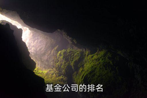 匯添富基金與快樂購(gòu)股票