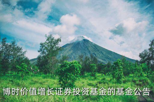 博時價(jià)值增長證券投資基金的基金公告