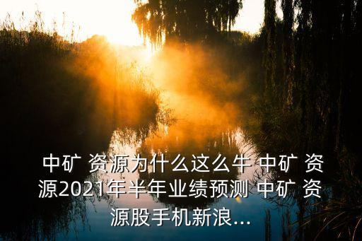  中礦 資源為什么這么牛 中礦 資源2021年半年業(yè)績預(yù)測(cè) 中礦 資源股手機(jī)新浪...