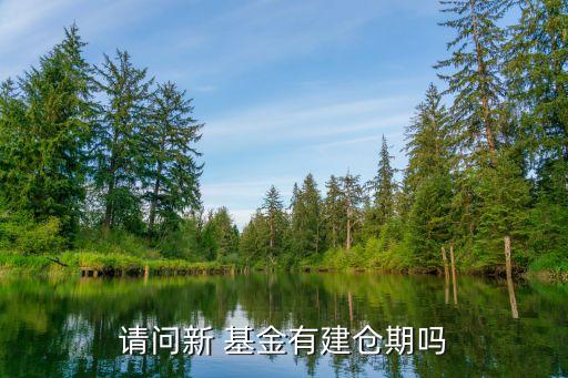 請(qǐng)問新 基金有建倉期嗎
