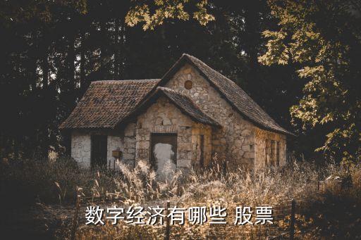 數(shù)字經(jīng)濟有哪些 股票