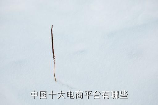 中國(guó)十大電商平臺(tái)有哪些