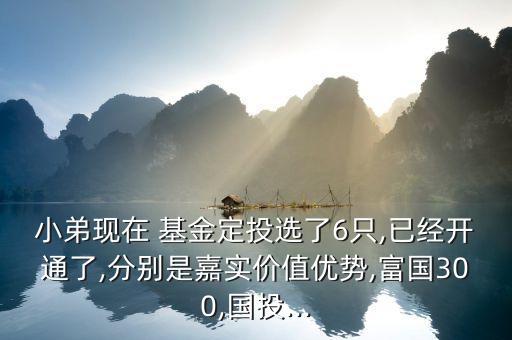 小弟現(xiàn)在 基金定投選了6只,已經(jīng)開通了,分別是嘉實(shí)價(jià)值優(yōu)勢,富國300,國投...