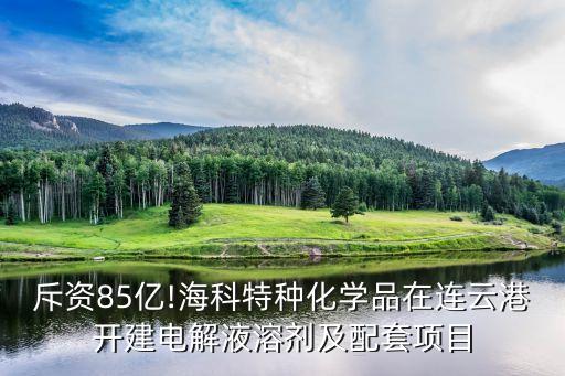 斥資85億!?？铺胤N化學(xué)品在連云港開建電解液溶劑及配套項目