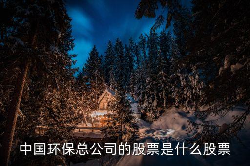 中國環(huán)?？偣镜墓善笔鞘裁垂善? class=