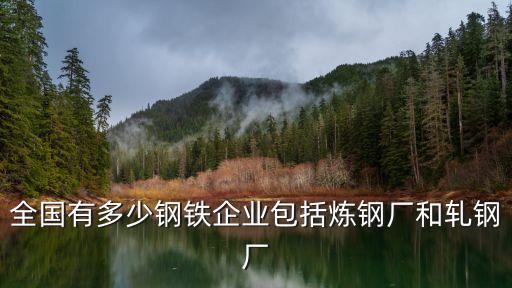 全國(guó)有多少鋼鐵企業(yè)包括煉鋼廠(chǎng)和軋鋼廠(chǎng)