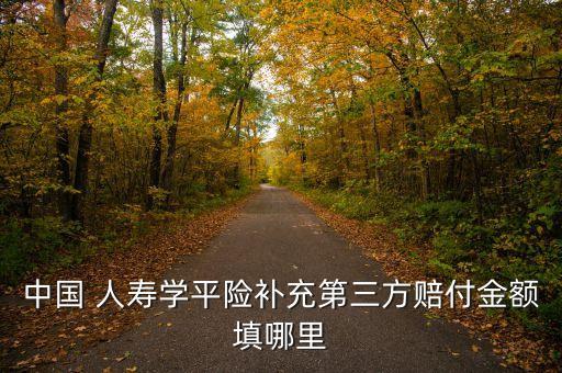 中國 人壽學(xué)平險(xiǎn)補(bǔ)充第三方賠付金額填哪里