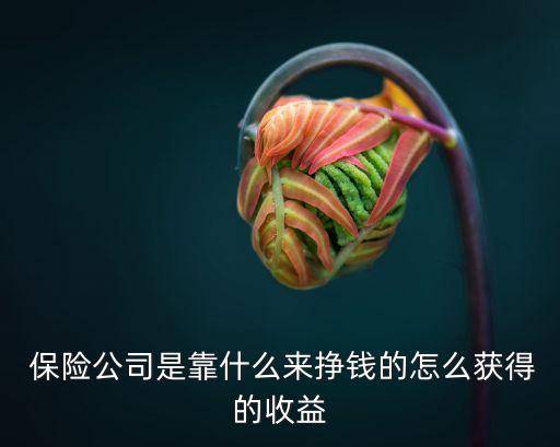  保險(xiǎn)公司是靠什么來(lái)掙錢的怎么獲得的收益