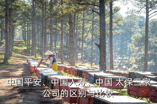 中國平安、中國人壽、中國 太保三家公司的區(qū)別與比較
