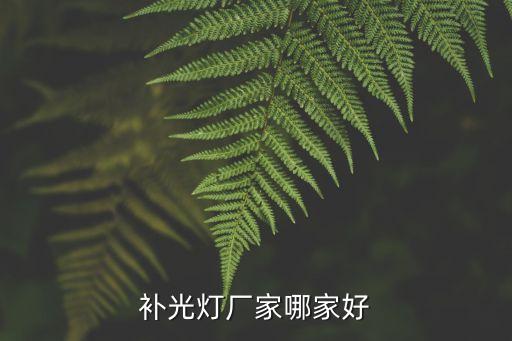 補光燈廠家哪家好