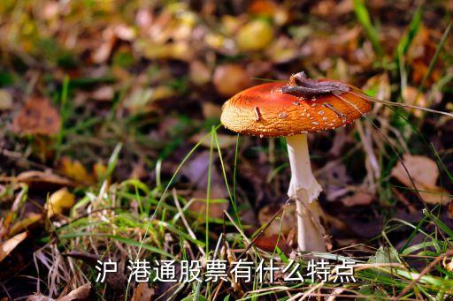 滬港通對投資者的好處,內地企業(yè)投資者通過滬港通