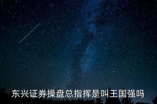 東興證券操盤總指揮是叫王國強(qiáng)嗎