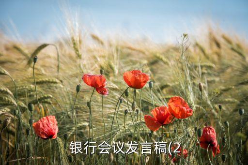 新任銀行領(lǐng)導(dǎo)講話(huà),銀行安全工作會(huì)議領(lǐng)導(dǎo)講話(huà)
