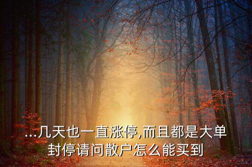 ...幾天也一直漲停,而且都是大單封停請(qǐng)問(wèn)散戶怎么能買到