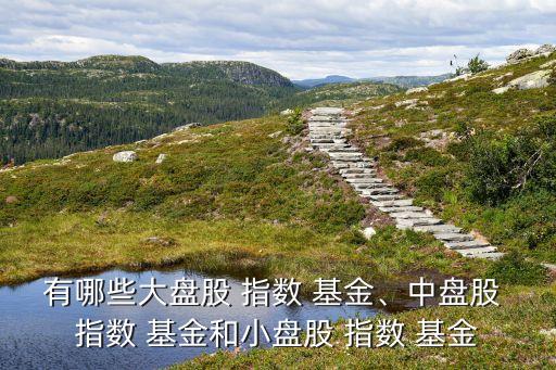 有哪些大盤股 指數(shù) 基金、中盤股 指數(shù) 基金和小盤股 指數(shù) 基金