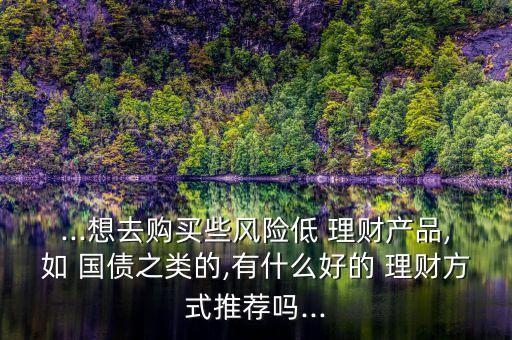 ...想去購(gòu)買些風(fēng)險(xiǎn)低 理財(cái)產(chǎn)品,如 國(guó)債之類的,有什么好的 理財(cái)方式推薦嗎...