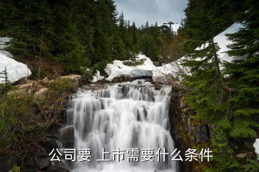 上市公司誠(chéng)信記錄,河北誠(chéng)信是上市公司嗎?
