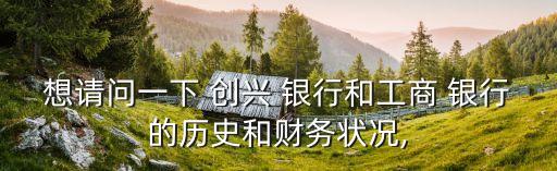 想請問一下 創(chuàng)興 銀行和工商 銀行的歷史和財務(wù)狀況,