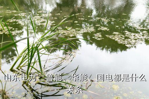 山東電力、魯能、華能、國電都是什么關(guān)系