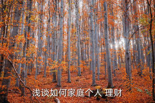 淺談如何家庭個人 理財