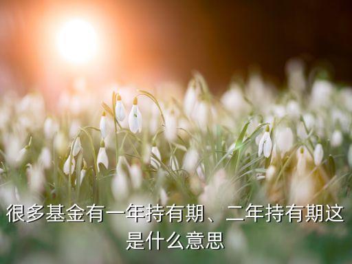 很多基金有一年持有期、二年持有期這是什么意思