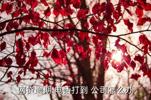 唐山黑貓公司電話(huà),唐山家政服務(wù)公司電話(huà)
