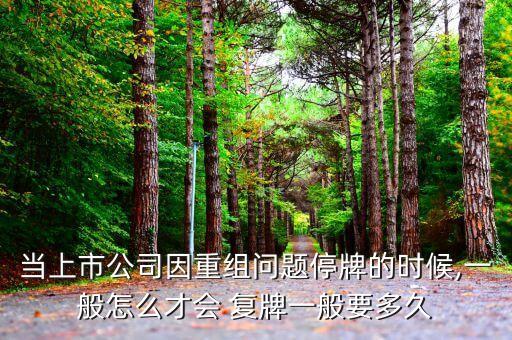 當(dāng)上市公司因重組問題停牌的時(shí)候,一般怎么才會(huì) 復(fù)牌一般要多久