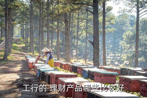 工行的 理財產品哪些比較好